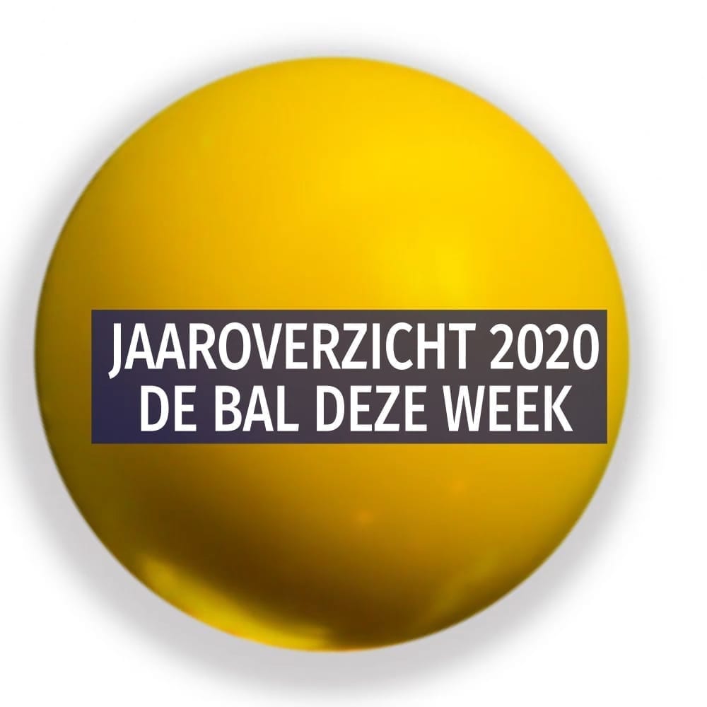 Featured image for “Jaaroverzicht 2020”